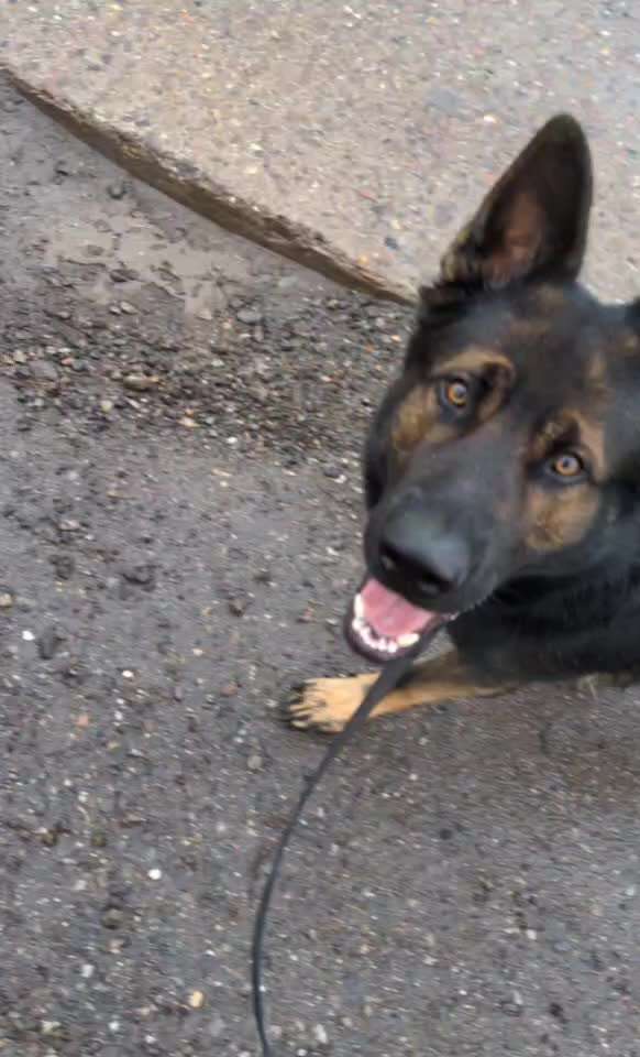 Beim Training völlig unkonzentriert.-Beitrag-Bild