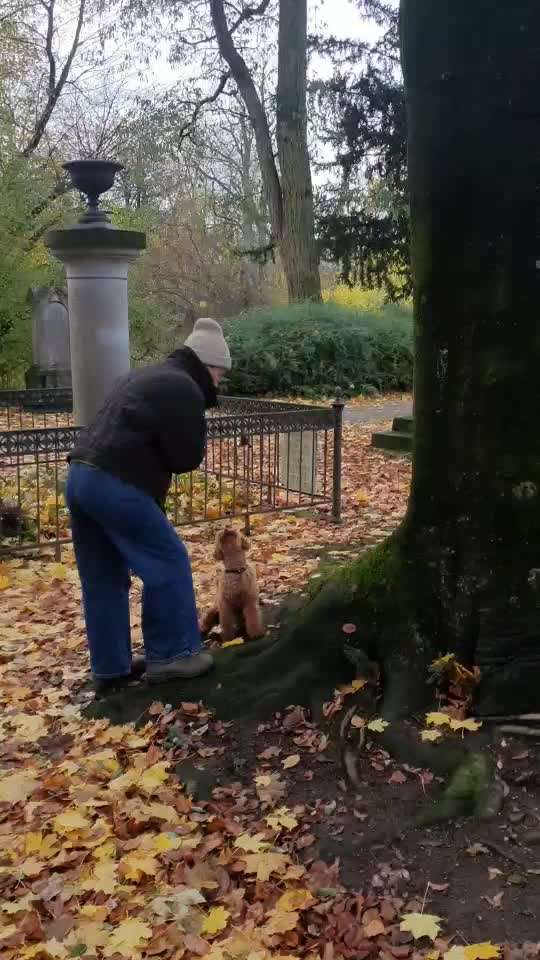 62. gemeinsames Trick Training / Challenge: bouncen-Beitrag-Bild