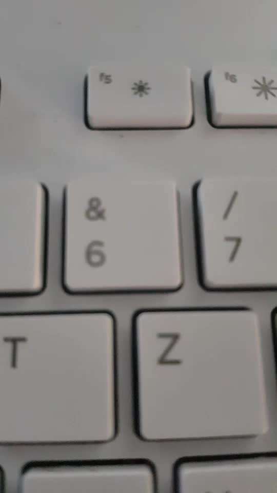 Kastration beim Rüden-Beitrag-Bild