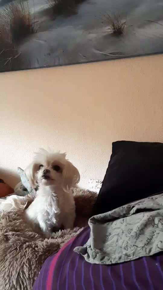 FUN AUFGABEN TOUR-Beitrag-Bild