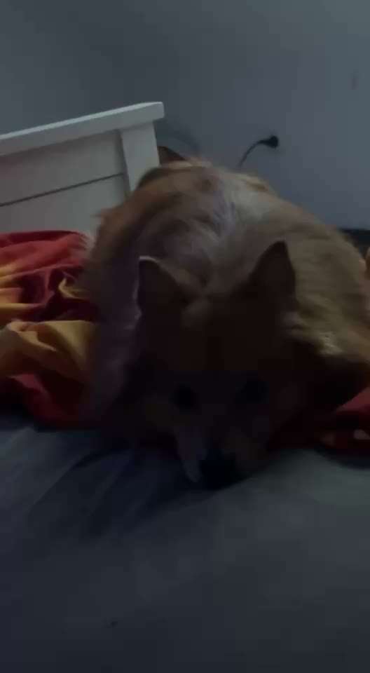 Bezugsperson für 3 Monate weg-Beitrag-Bild