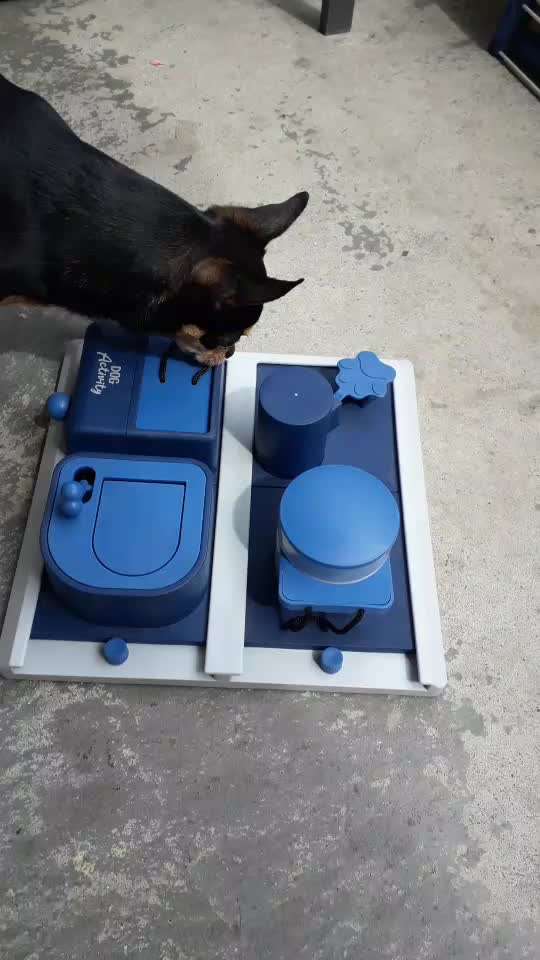 trixie dog activity-Beitrag-Bild