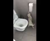 Dogorama Photo Challenge - Mein Holz und ich-Beitrag-Bild