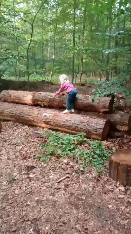 Stubenrein-Beitrag-Bild