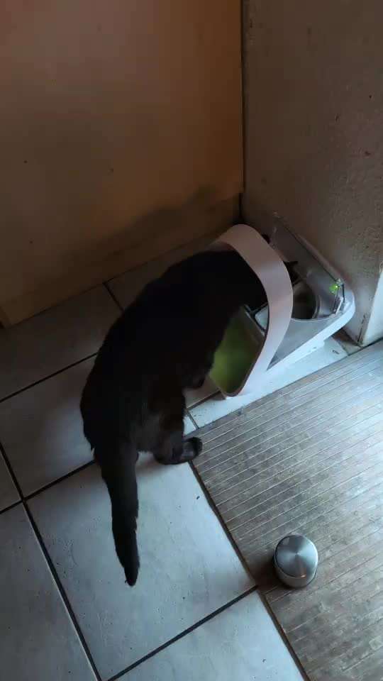 Katzenfutter vor Hund schützen/ Absperrgitter-Beitrag-Bild