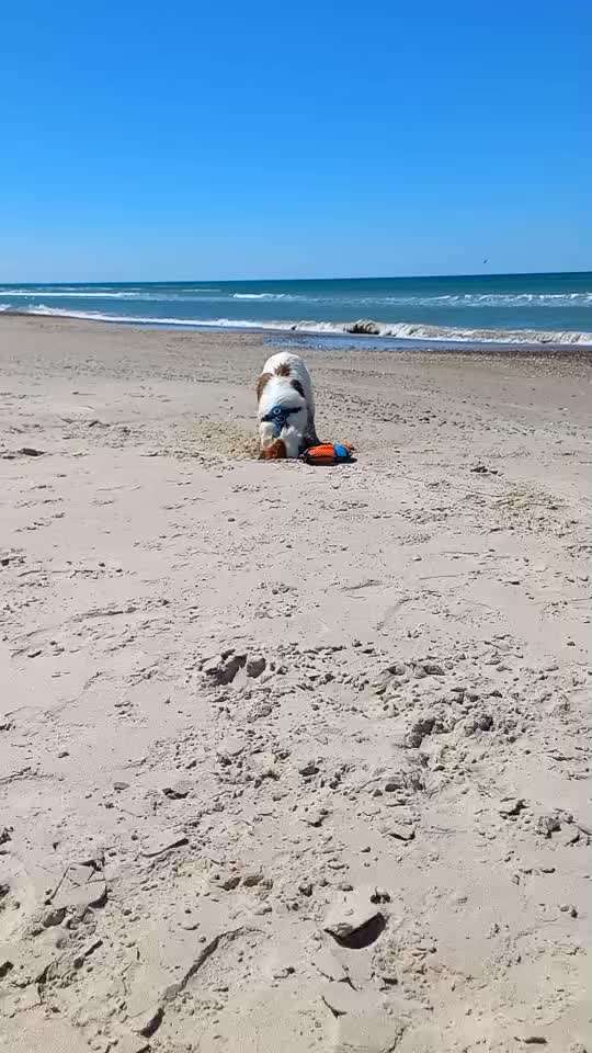 Urlaubsempfehlungen Dänemark-Beitrag-Bild