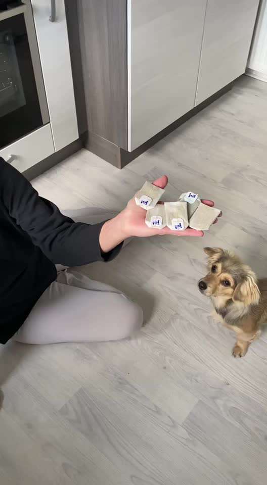 Dogorama Blog Challenge: Hundetricks-Beitrag-Bild