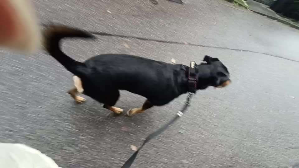 Gangbild/-analyse-Beitrag-Bild