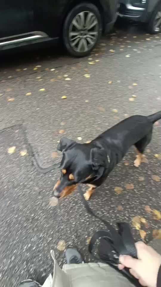 Gangbild/-analyse-Beitrag-Bild