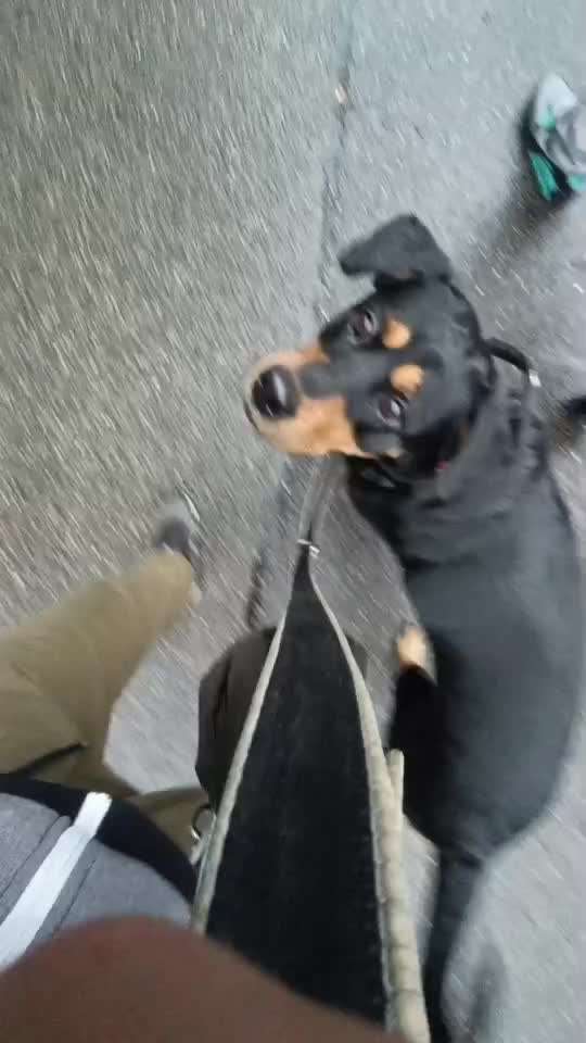 Gangbild/-analyse-Beitrag-Bild