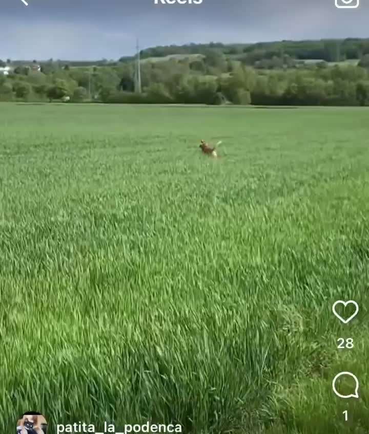 Handyvideochallenge Nr. 26 Gross und Klein-Beitrag-Bild