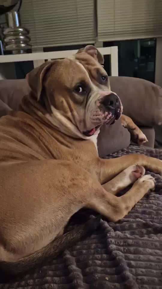 Zeigt her Eure Futternäpfe-Beitrag-Bild