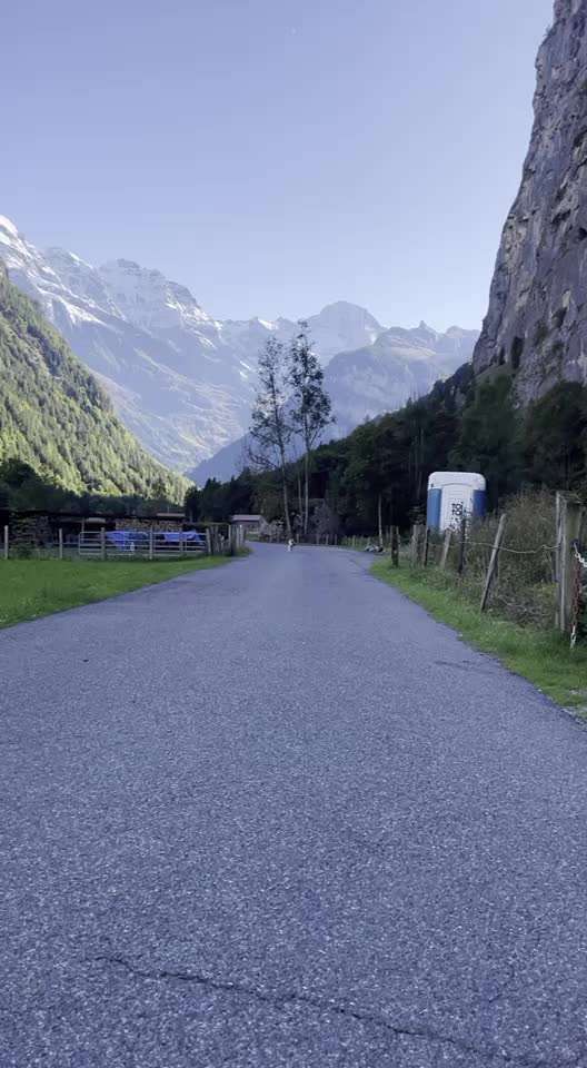 Nordische Hunde-Beitrag-Bild