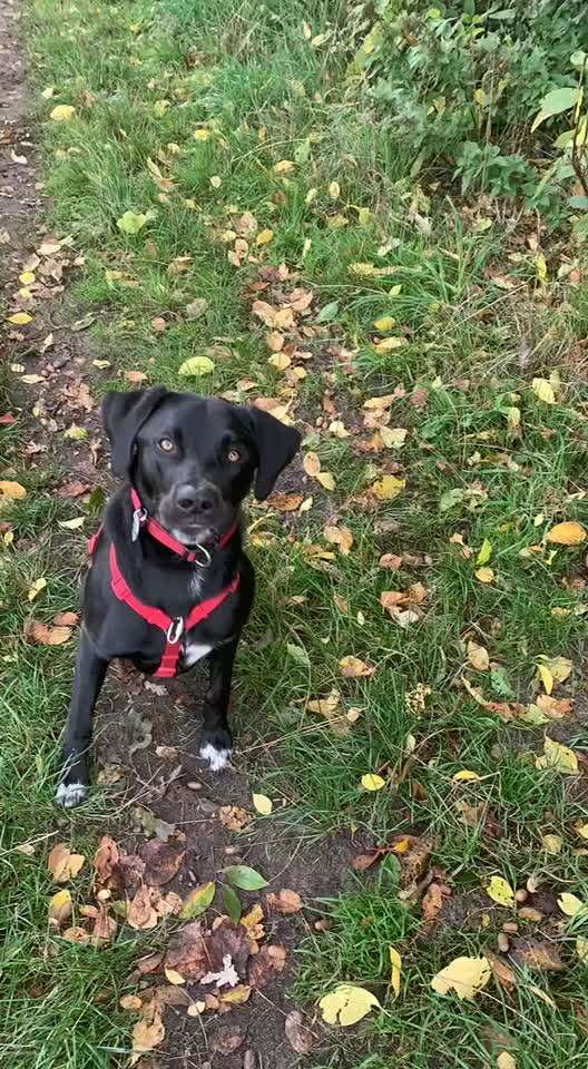 Gemeinsame Impulkontrolle Übung Nr.24-Beitrag-Bild