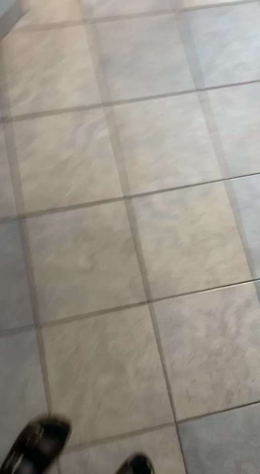 Haare stellen und "ausrasten" beim Gassi gehen; Update-Beitrag-Bild