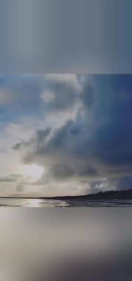 Rhodesian Ridgeback-Beitrag-Bild