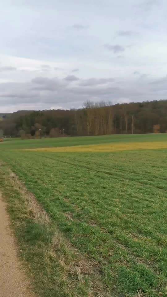 Die wunderschöne Welt mit Hund.-Beitrag-Bild