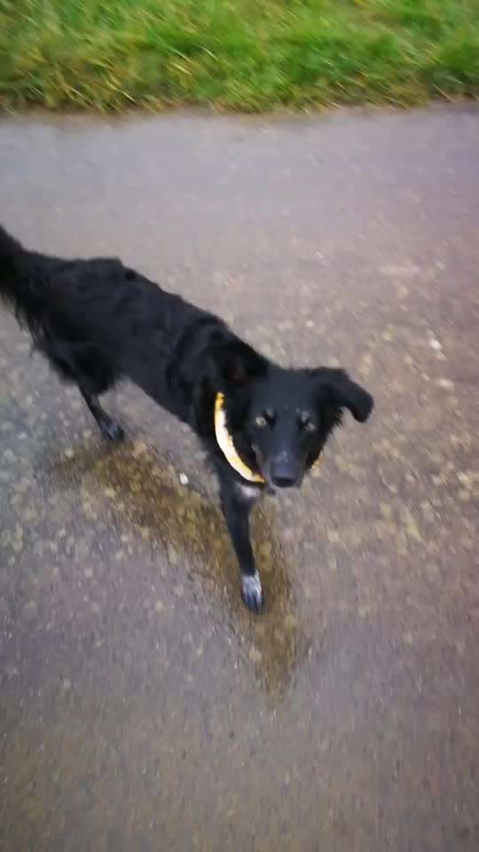 𝕋ℝ𝕀ℂ𝕂 ℂℍ𝔸𝕃𝕃𝔼ℕ𝔾𝔼 ℕℝ. 𝟙-Beitrag-Bild