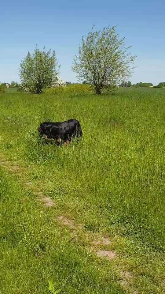 Stressabbau / Entspannung trainieren-Beitrag-Bild