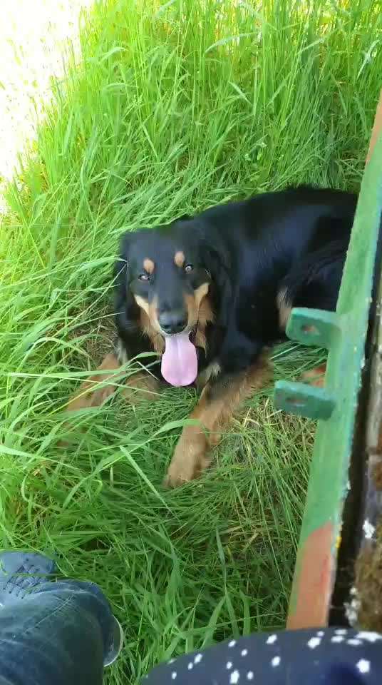 Stressabbau / Entspannung trainieren-Beitrag-Bild