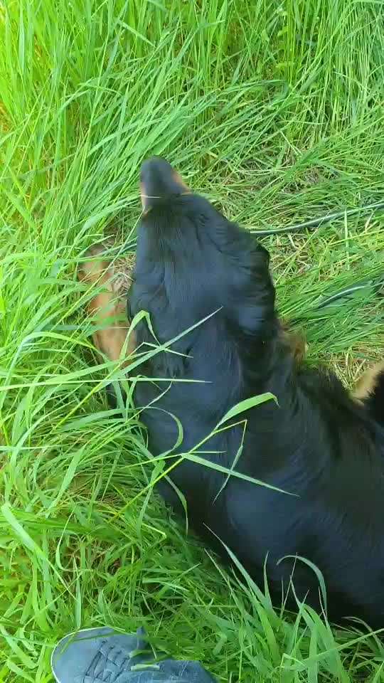 Stressabbau / Entspannung trainieren-Beitrag-Bild