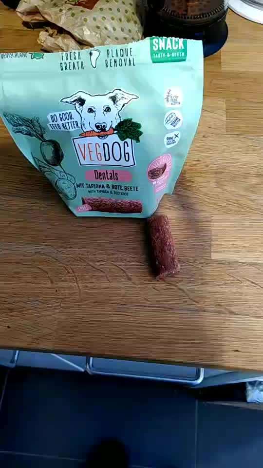 Vegetarische oder vegane Ernährung beim Hund?-Beitrag-Bild