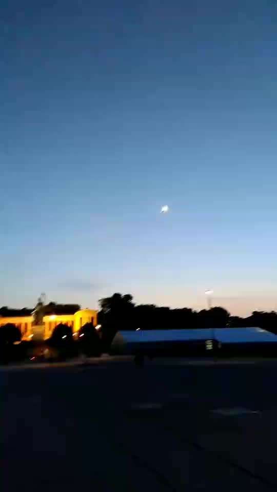 Alles rund um den Schäferhund, diskutieren erwünscht.-Beitrag-Bild