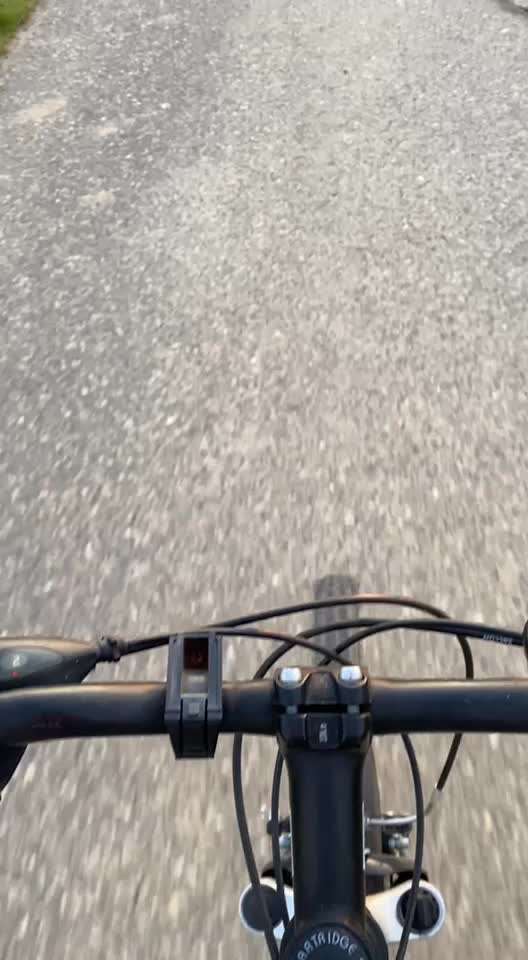 TierschutzhundeStammtisch🐕-Beitrag-Bild