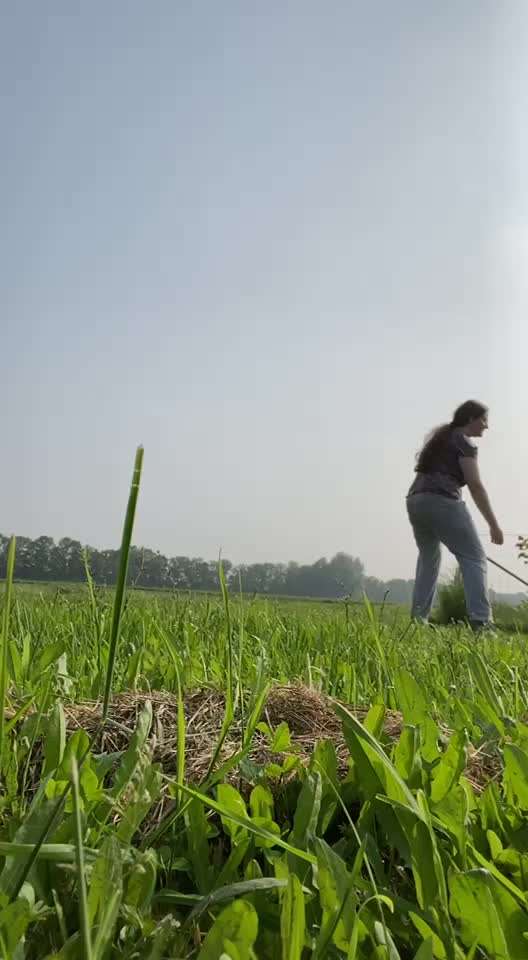 TierschutzhundeStammtisch🐕-Beitrag-Bild