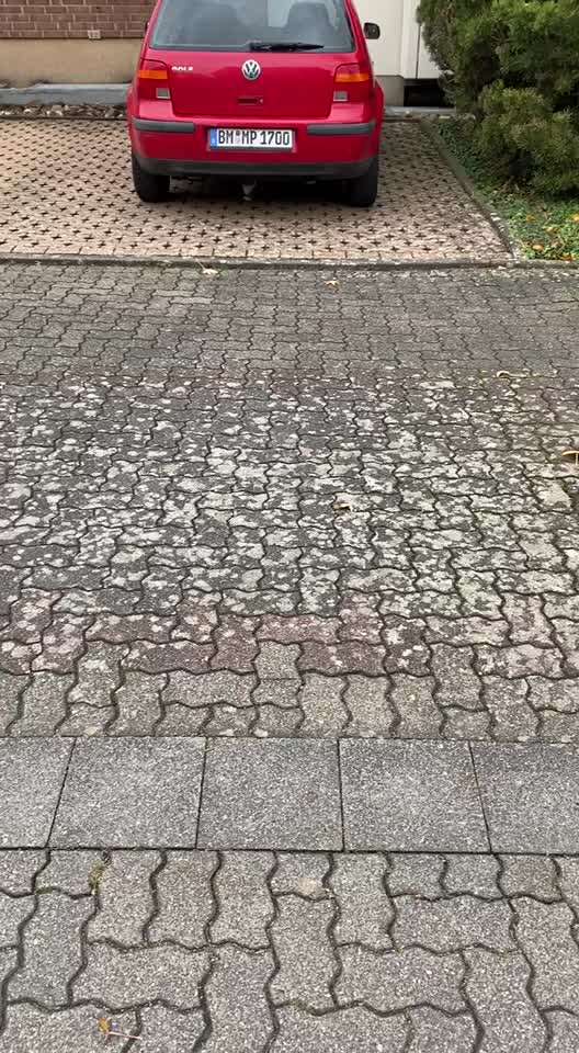 TierschutzhundeStammtisch🐕-Beitrag-Bild