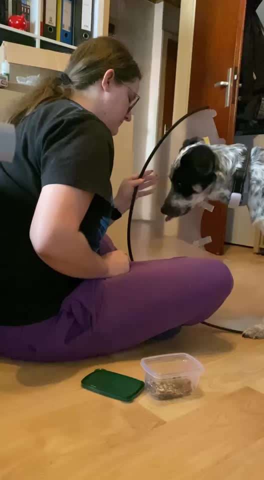 TierschutzhundeStammtisch🐕-Beitrag-Bild