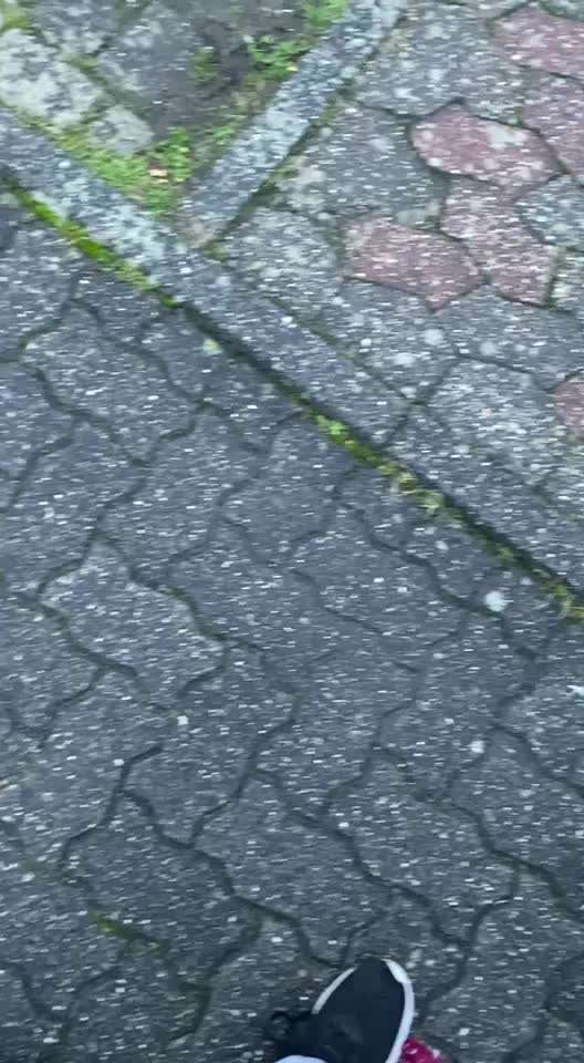 TierschutzhundeStammtisch🐕-Beitrag-Bild