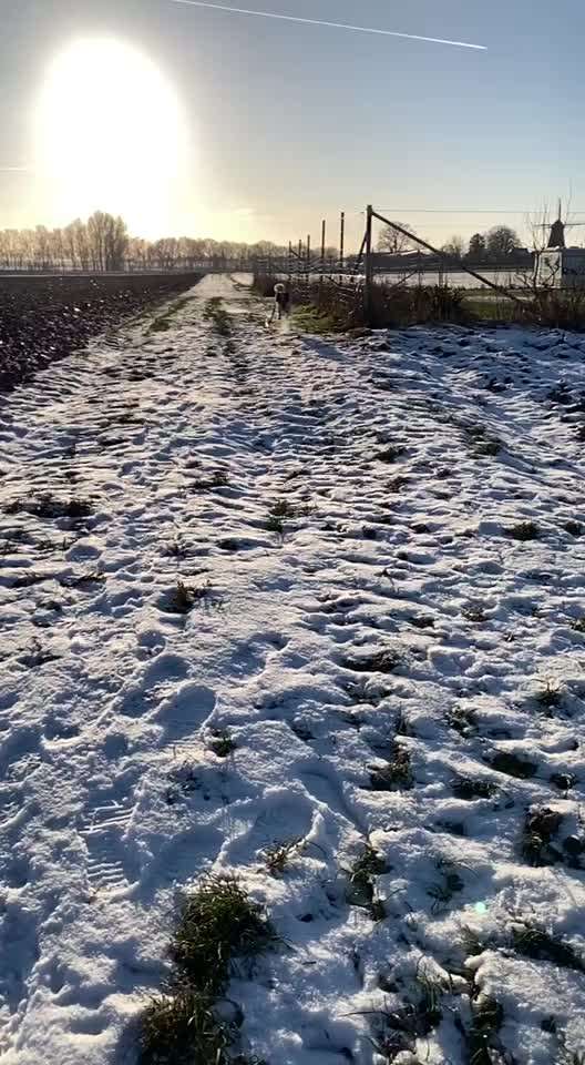 TierschutzhundeStammtisch🐕-Beitrag-Bild