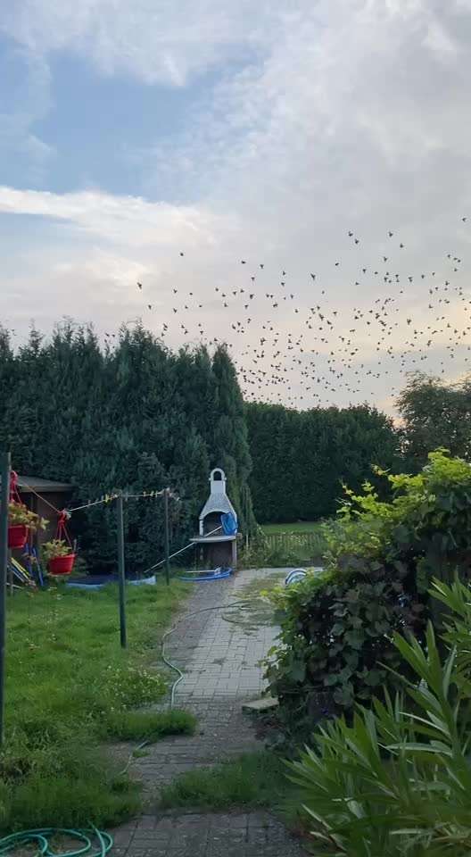 TierschutzhundeStammtisch🐕-Beitrag-Bild