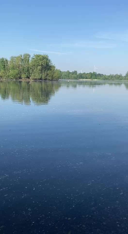 TierschutzhundeStammtisch🐕-Beitrag-Bild