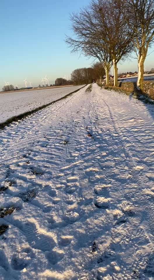 TierschutzhundeStammtisch🐕-Beitrag-Bild
