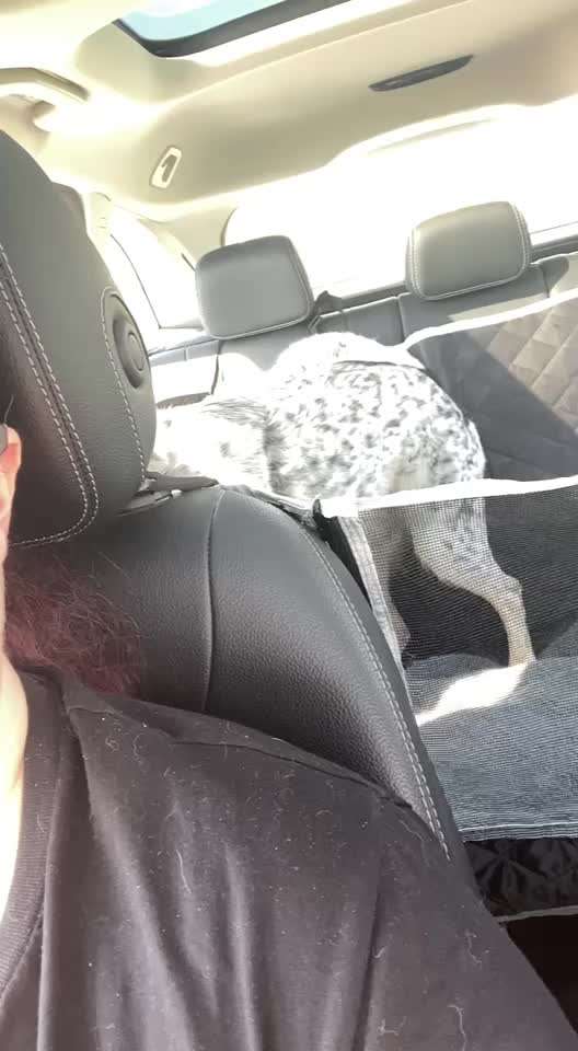 TierschutzhundeStammtisch🐕-Beitrag-Bild