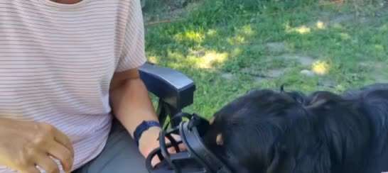 55. Video Challange: lustiges Video/Lieblingsvideo-Beitrag-Bild