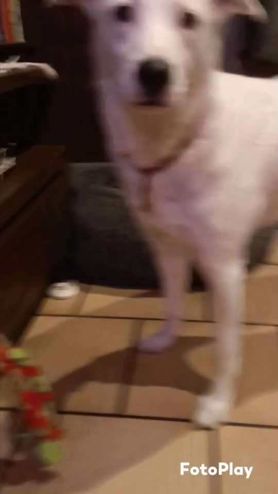 Trickchallenge Nr. 84

"Etwas öffnen "-Beitrag-Bild