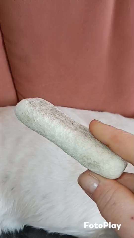 Tipps Hundebürste-Beitrag-Bild