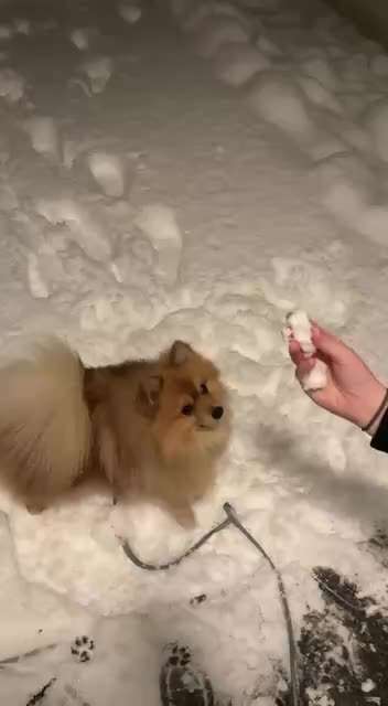 aktuelles Foto Gruppe Wandern und Outdoor