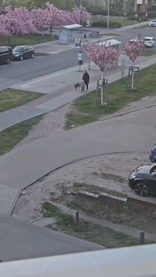 Was hat euch heute gefreut?-Beitrag-Bild