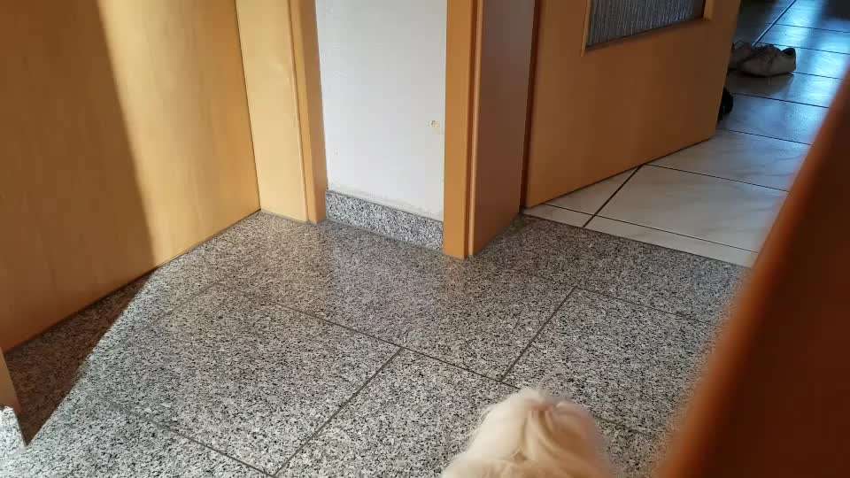 Impulskontrolle Challenge Nr 9 "Unbeobachtet"-Beitrag-Bild