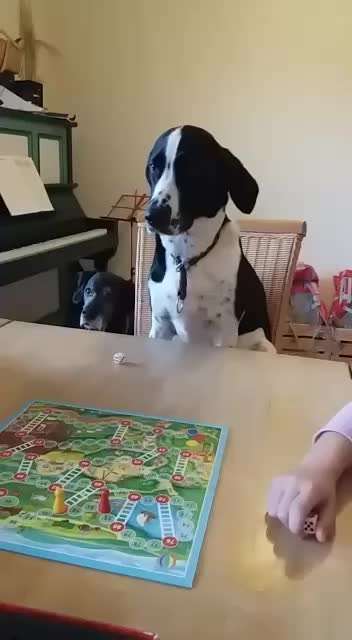 Trick Challenge ABC-Beitrag-Bild