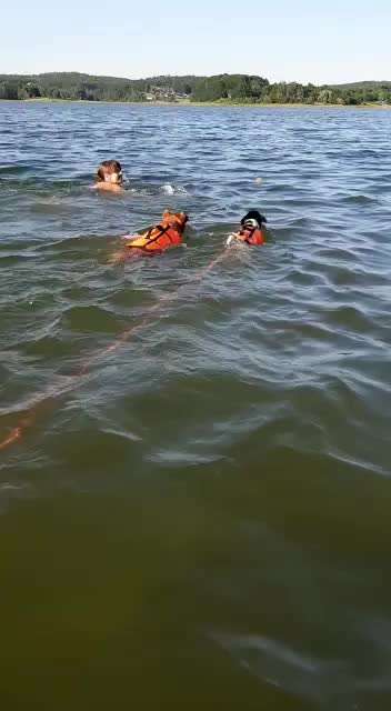 Schwimmen lernen-Beitrag-Bild