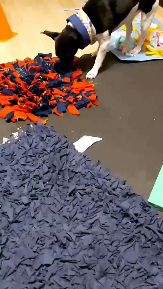 ZOS und UO-Beitrag-Bild