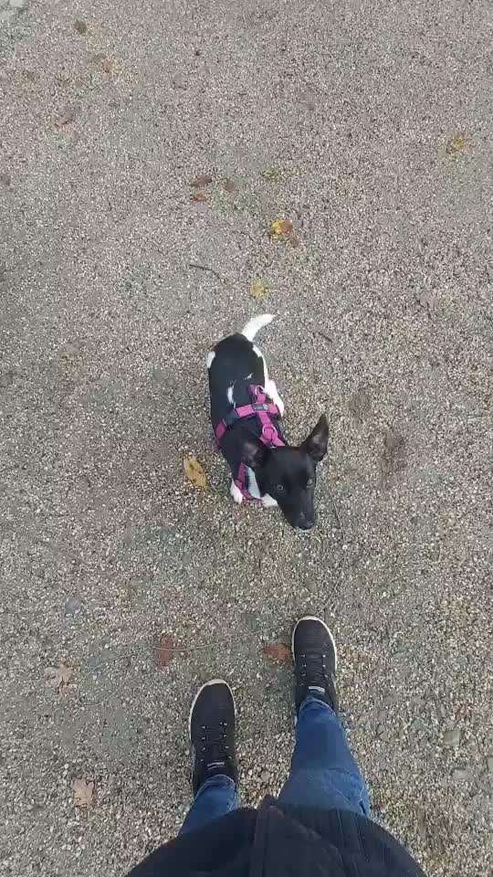 𝕋ℝ𝕀ℂ𝕂 ℂℍ𝔸𝕃𝕃𝔼ℕ𝔾𝔼 ℕℝ. 𝟙-Beitrag-Bild