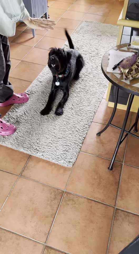 Trickchallenge - ich packe meinen 5. Koffer-Beitrag-Bild