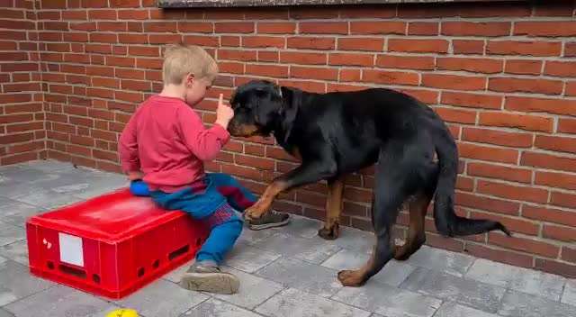 Ungewollte Streicheleinheiten etc.-Beitrag-Bild
