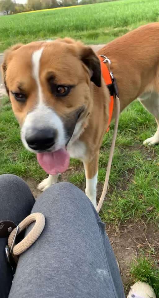 Fährt hier noch jemand mit seinem Liebling Skateboard oder Longboard ?-Beitrag-Bild